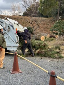 ゴミ収集車は、切った枝を回収する用途に流用される