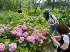 みんな一生懸命に撮影しています